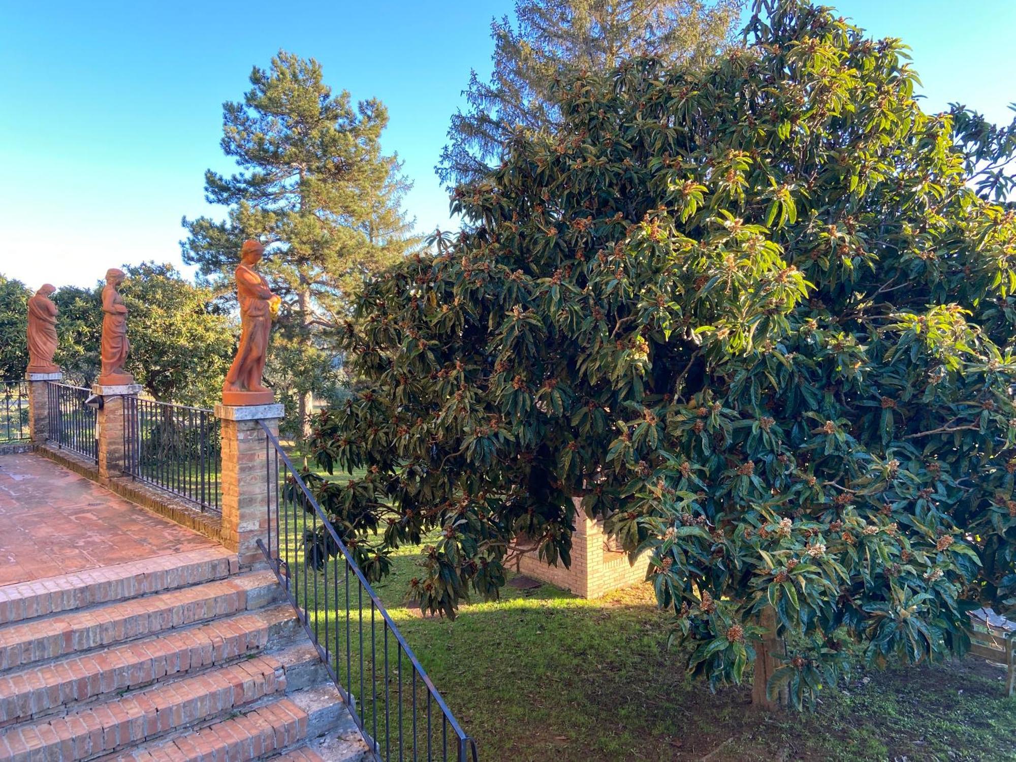 Casaletolfe Residence Siena Bagian luar foto